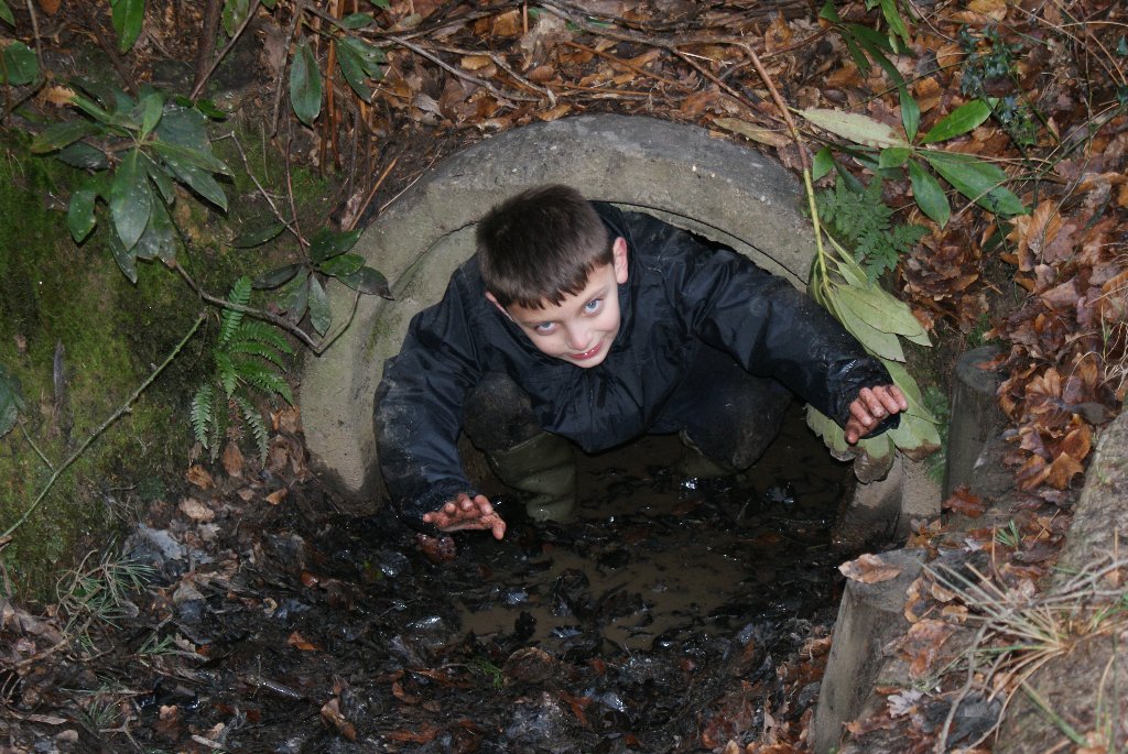 Down in the mud   07